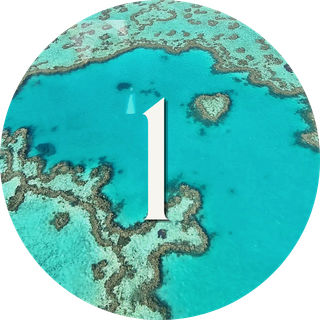 australie voyage organisation