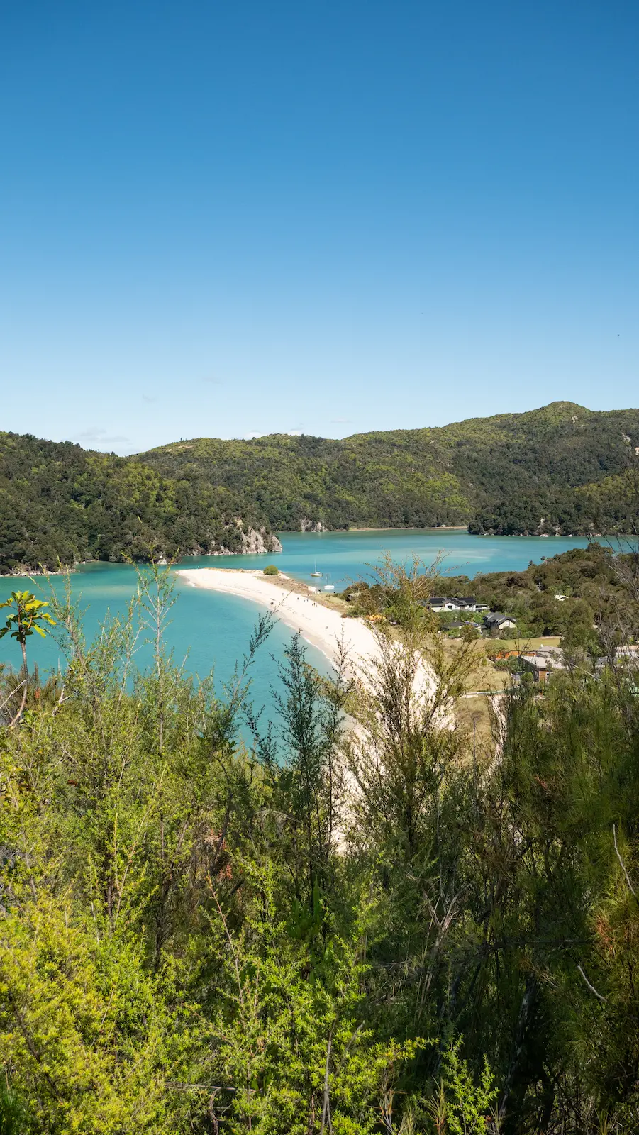 Nouvelle Zélande abel tasman trek paysage