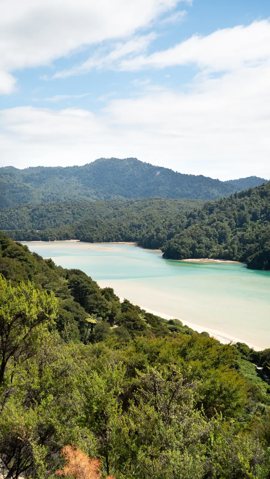 Nouvelle Zélande abel tasman plage