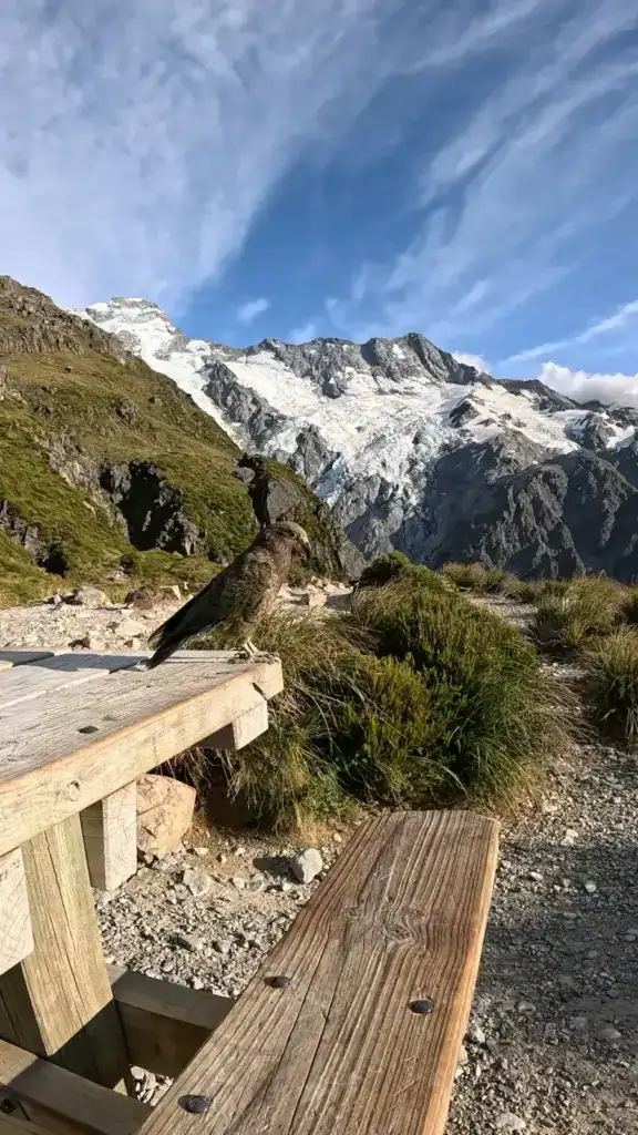 Nouvelle Zélande hike mueller hut mont cook