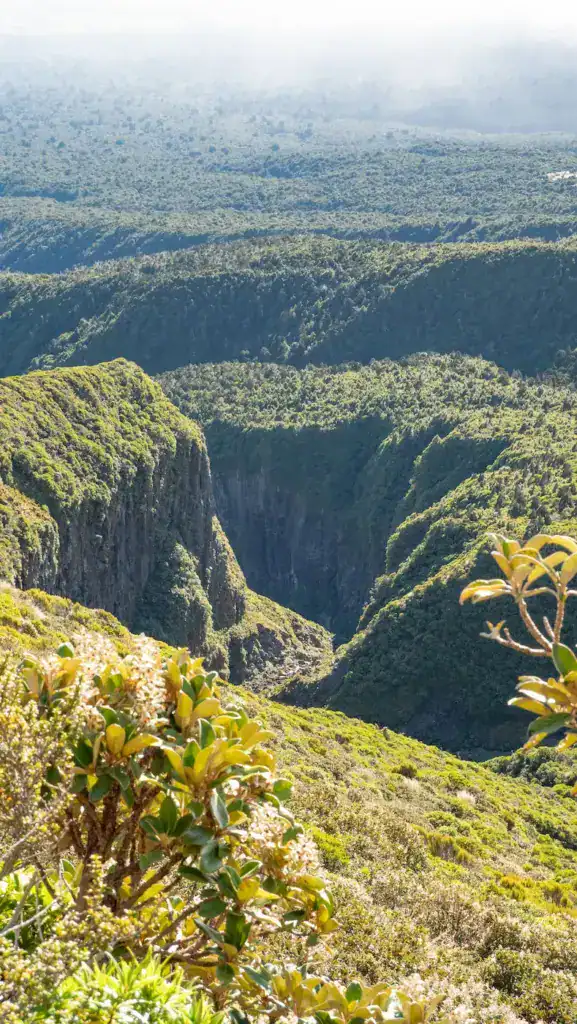 Nouvelle Zélande randonnée volcan