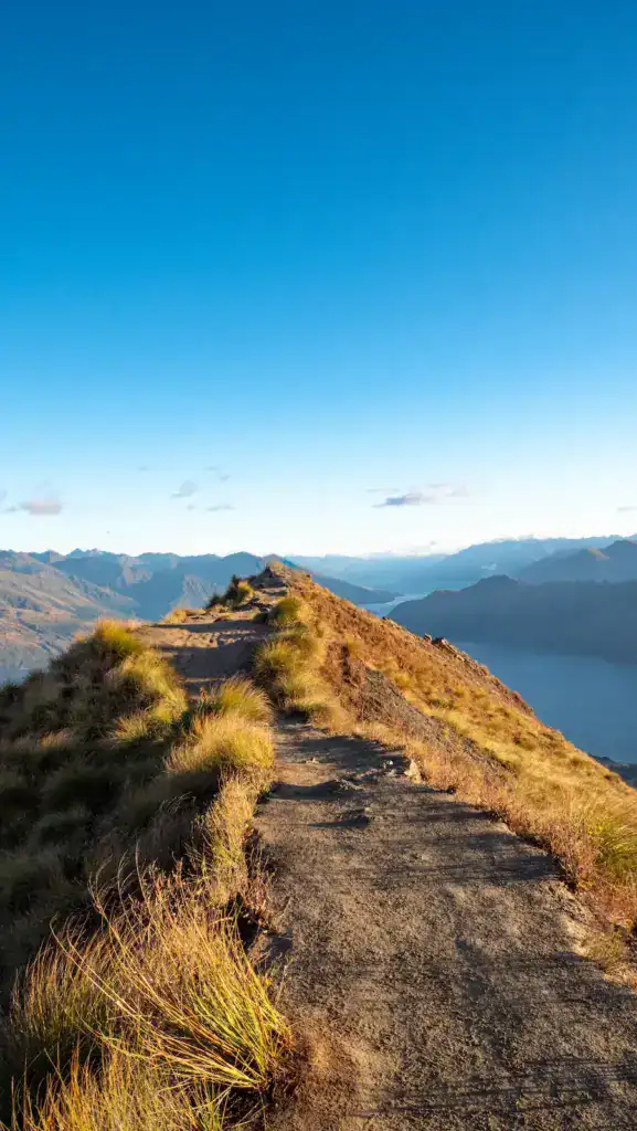 Nouvelle Zélande roy's peak incontournable vue