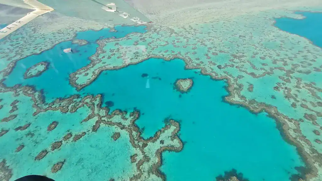grande barrière de corail australie pvt